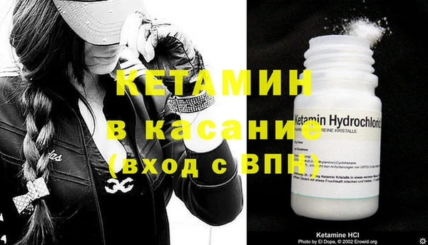 шишки Надым