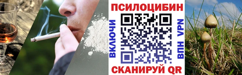 Псилоцибиновые грибы прущие грибы  Пустошка 